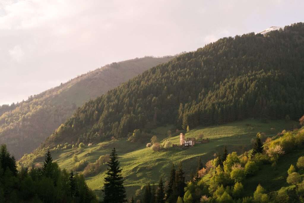 England: Top 10 Shocking Fact´s - Landscape with meadow and mountains